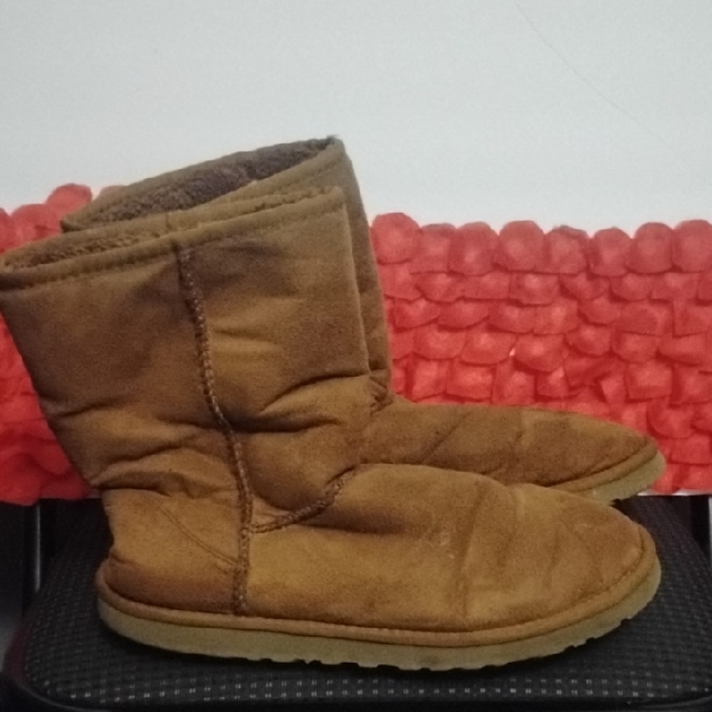 UGG Cozy Chestnut Boots
